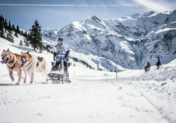     Dog sledge in Sportgastein / Sportgastein